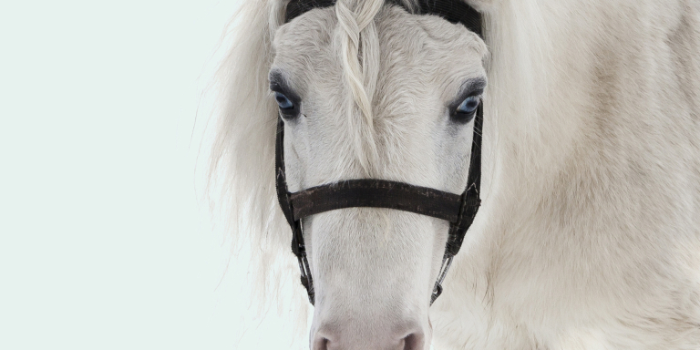 blogger-sonja-miniponys-verpleeghuis-dementie