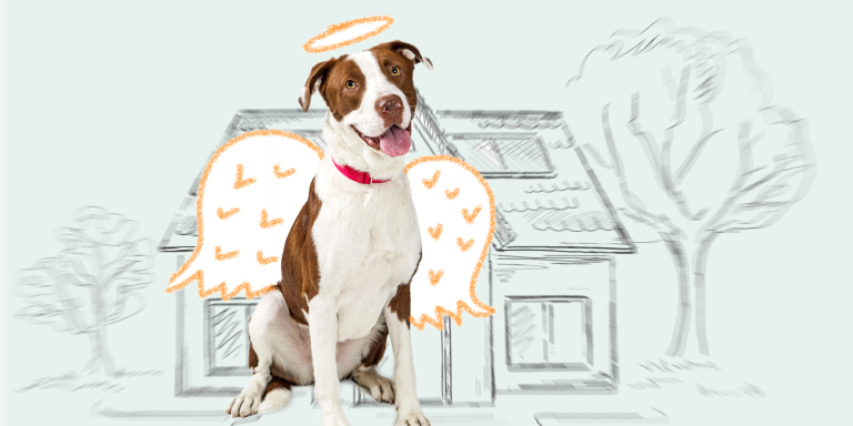 Alzheimer-geheugen-naar-huis-willen-verpleeghuis