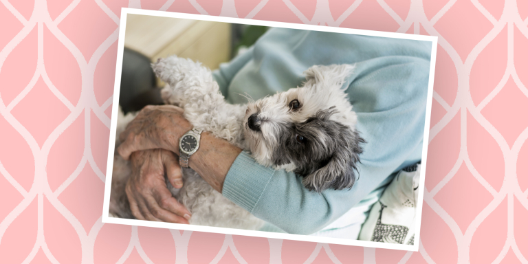 eva-blog-hond