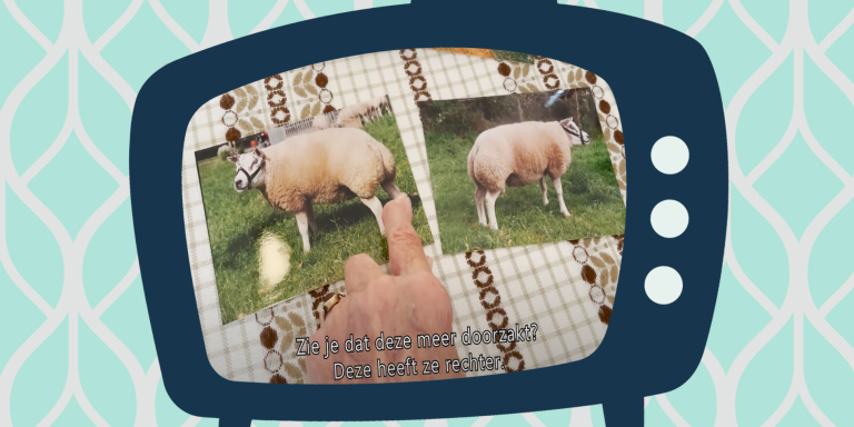 Rob - schapen