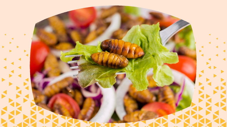 eten insecten
